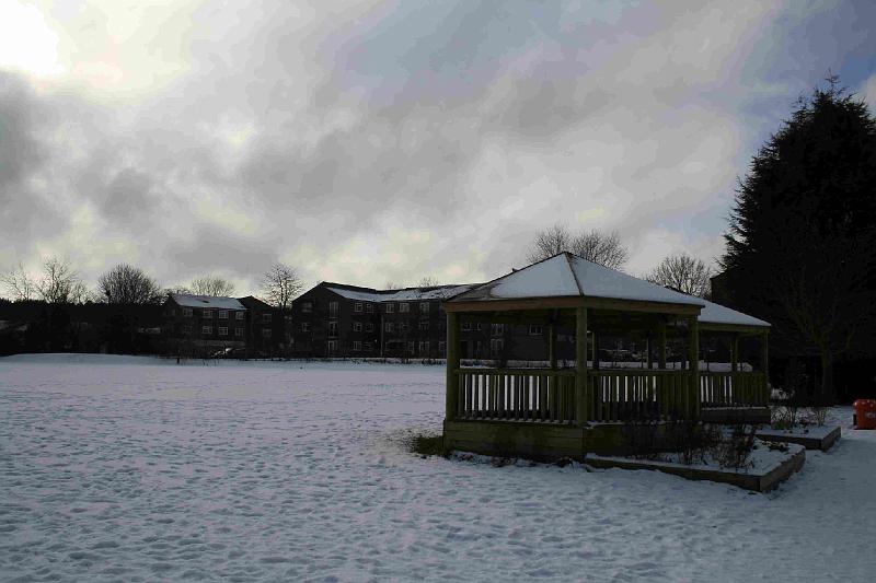 Snowy_Weather_Feb_09 (1)
